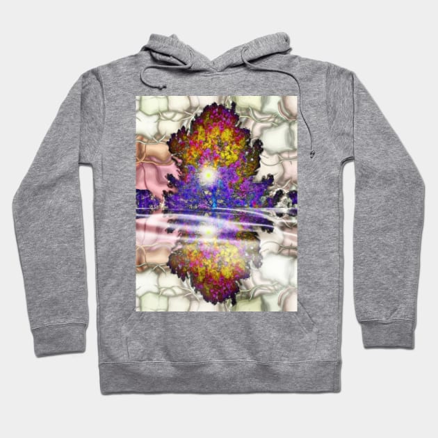 Colorful Mirroring Hoodie by danieljanda